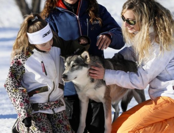 Comment s&rsquo;habiller pour une balade en chien de traîneau ?