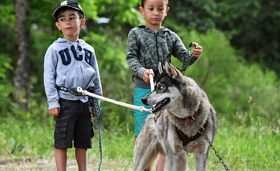 La Cani Marche :