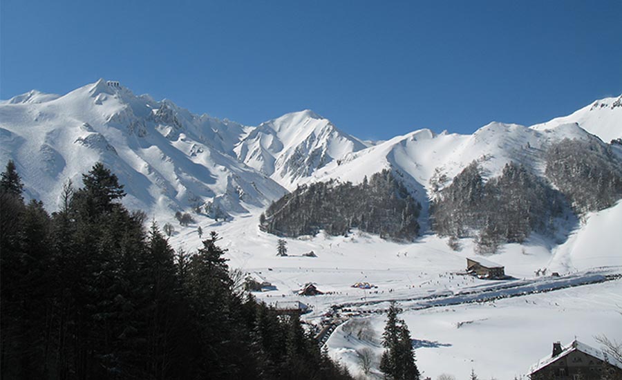 Image link